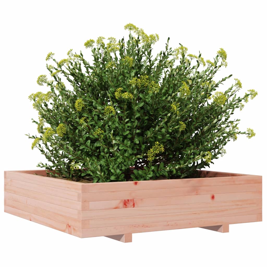 vidaXL Jardinera madera maciza de abeto Douglas 100x100x26,5 cm