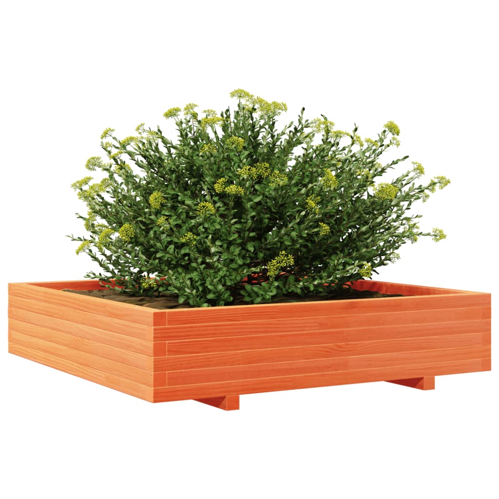 vidaXL Jardinera de madera maciza de pino marrón cera 110x110x26,5 cm