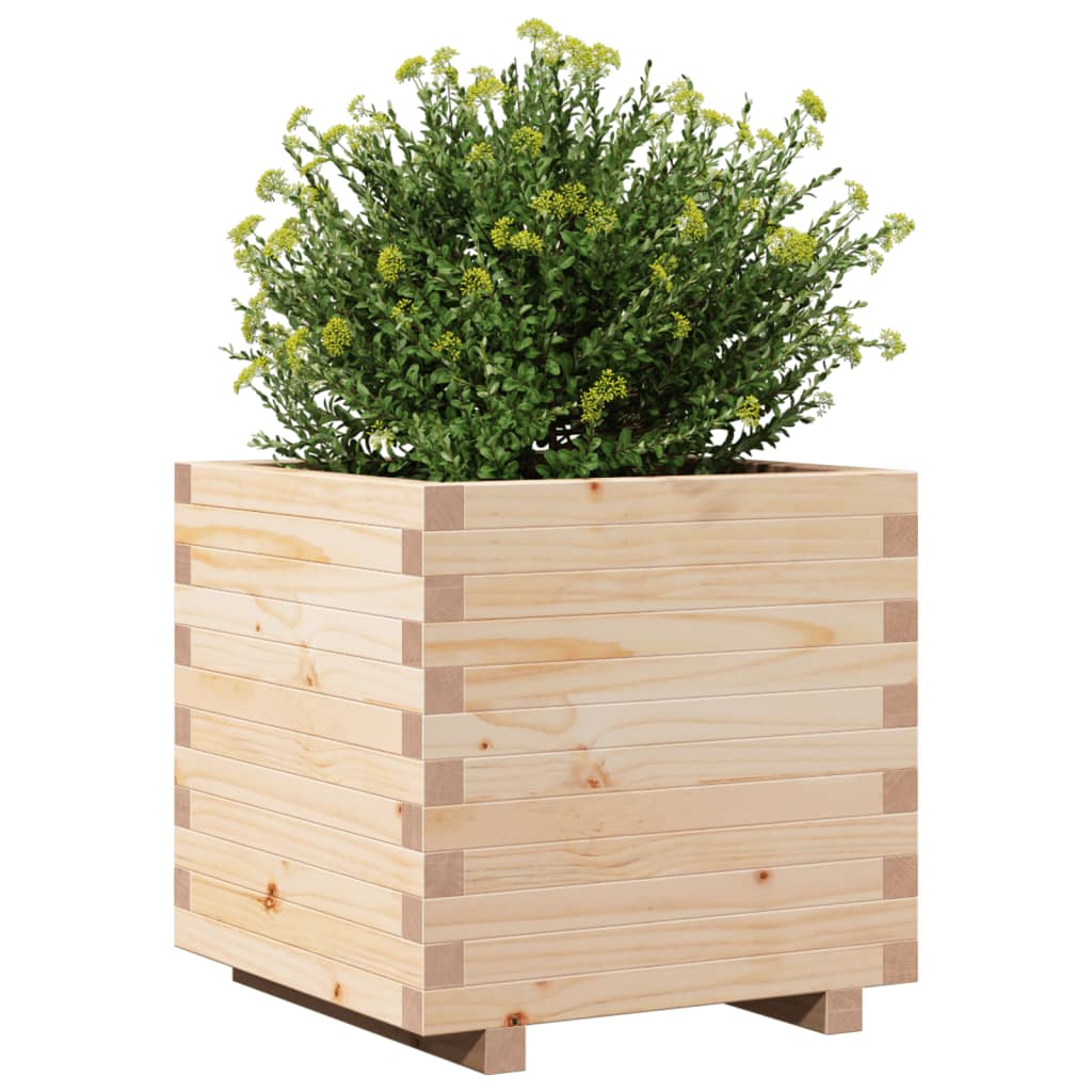 vidaXL Jardinera madera maciza de pino 50x50x49,5 cm