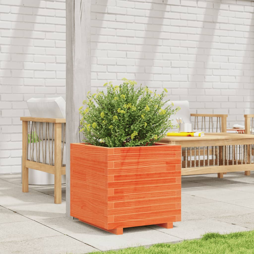 vidaXL Jardinera madera maciza de pino marrón cera 50x50x49,5 cm