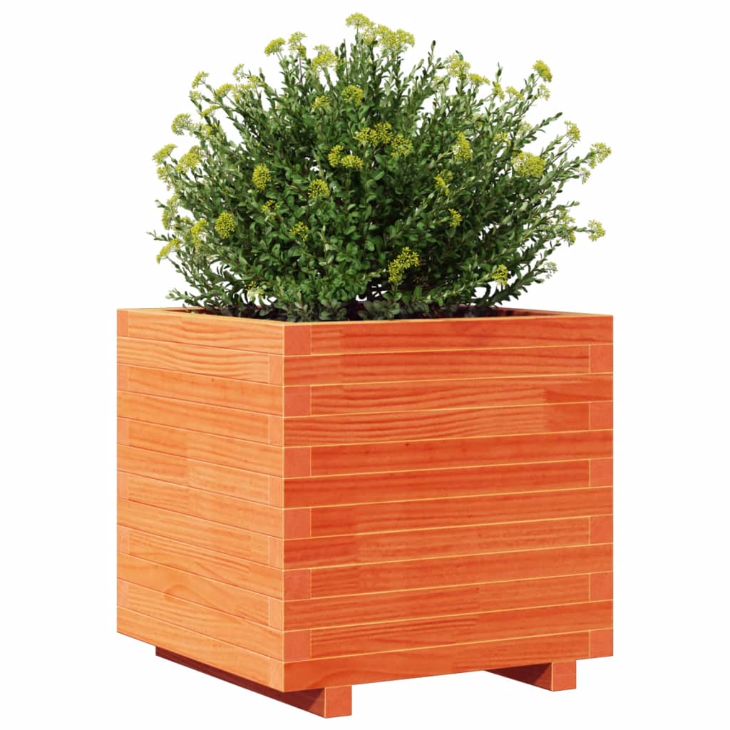 vidaXL Jardinera madera maciza de pino marrón cera 50x50x49,5 cm