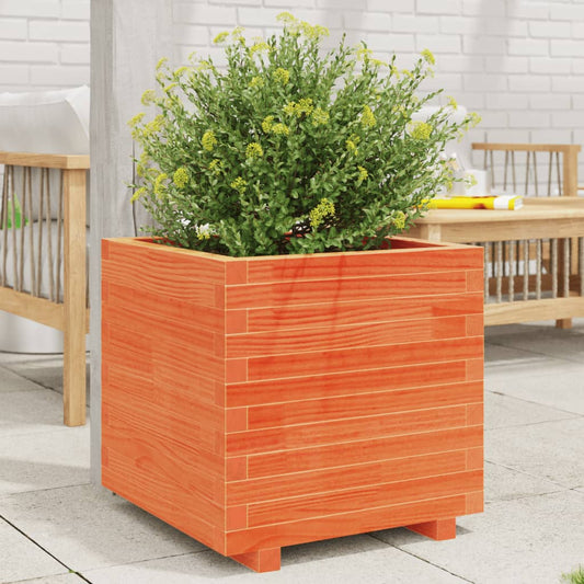 vidaXL Jardinera madera maciza de pino marrón cera 50x50x49,5 cm