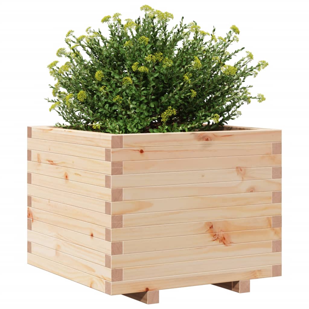 vidaXL Jardinera madera maciza de pino 60x60x49,5 cm