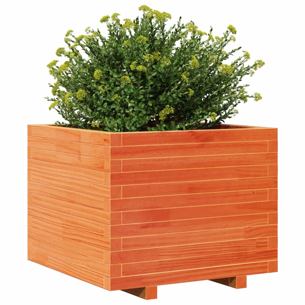 vidaXL Jardinera madera maciza de pino marrón cera 60x60x49,5 cm