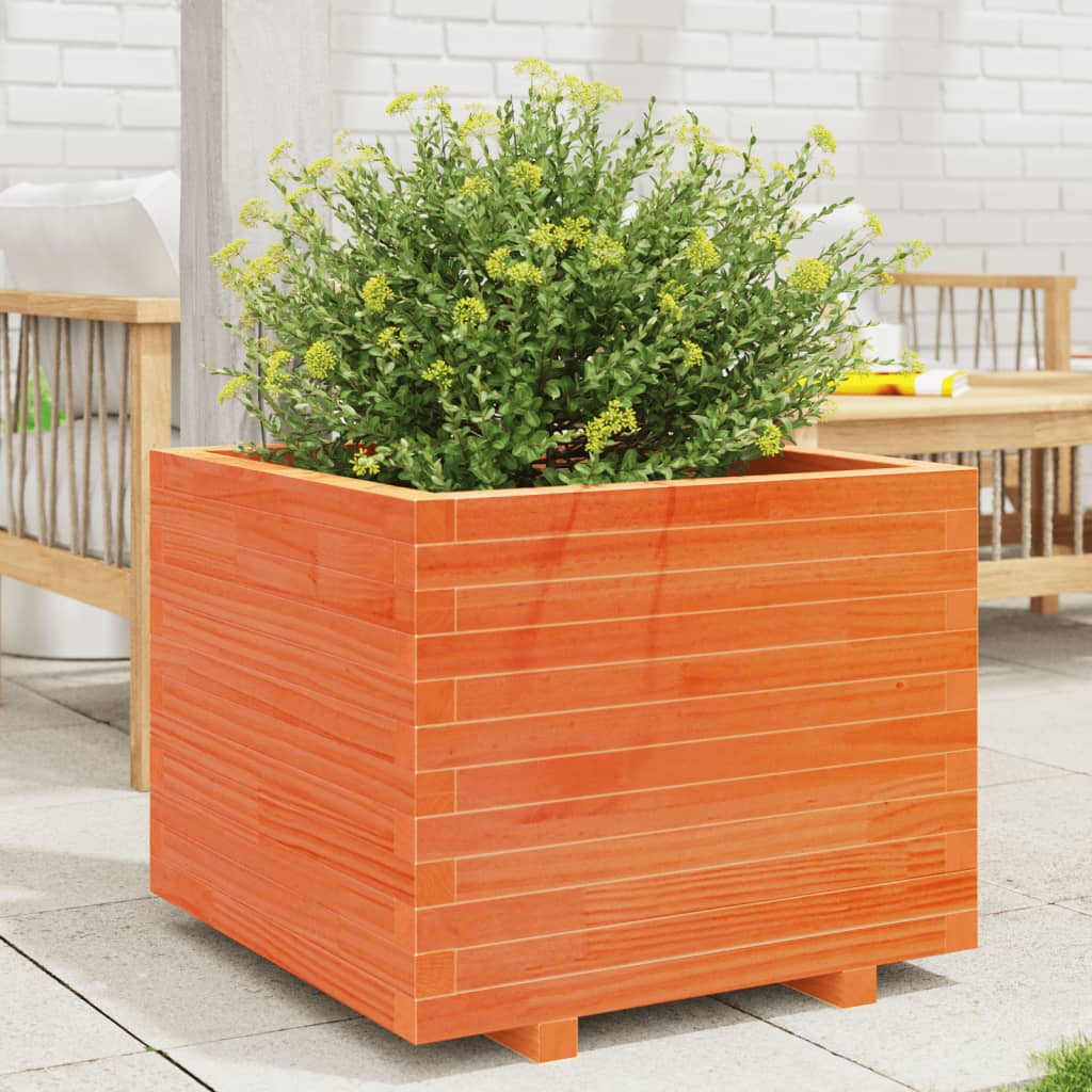 vidaXL Jardinera madera maciza de pino marrón cera 60x60x49,5 cm