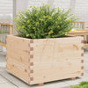 vidaXL Jardinera de madera maciza de pino 70x70x49,5 cm