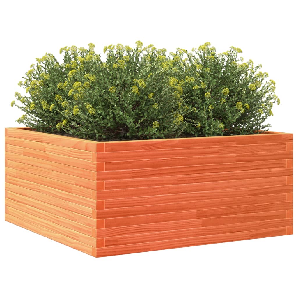 vidaXL Jardinera de madera maciza pino marrón cera 100x100x46 cm