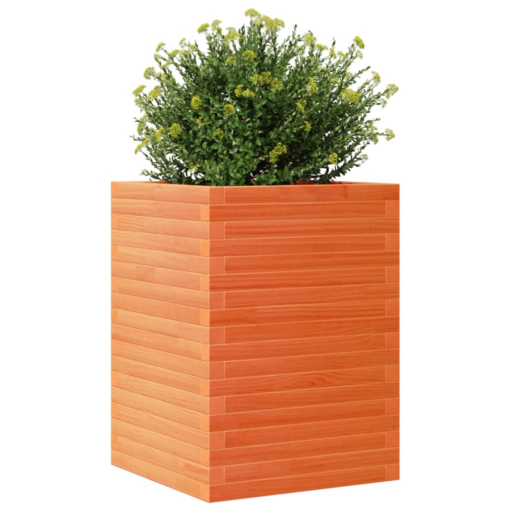 vidaXL Jardinera madera maciza de pino marrón cera 50x50x68,5 cm