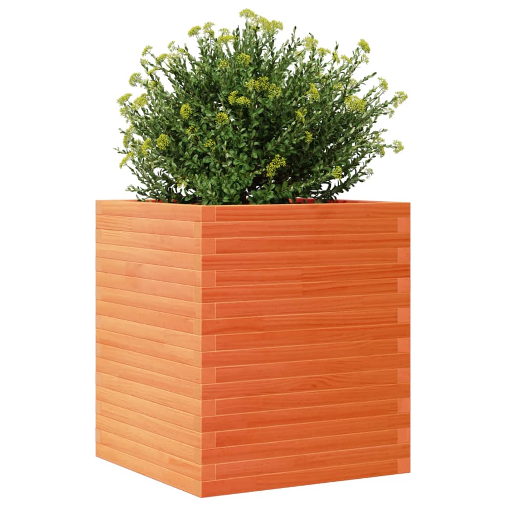 vidaXL Jardinera de madera maciza de pino marrón cera 60x60x68,5 cm