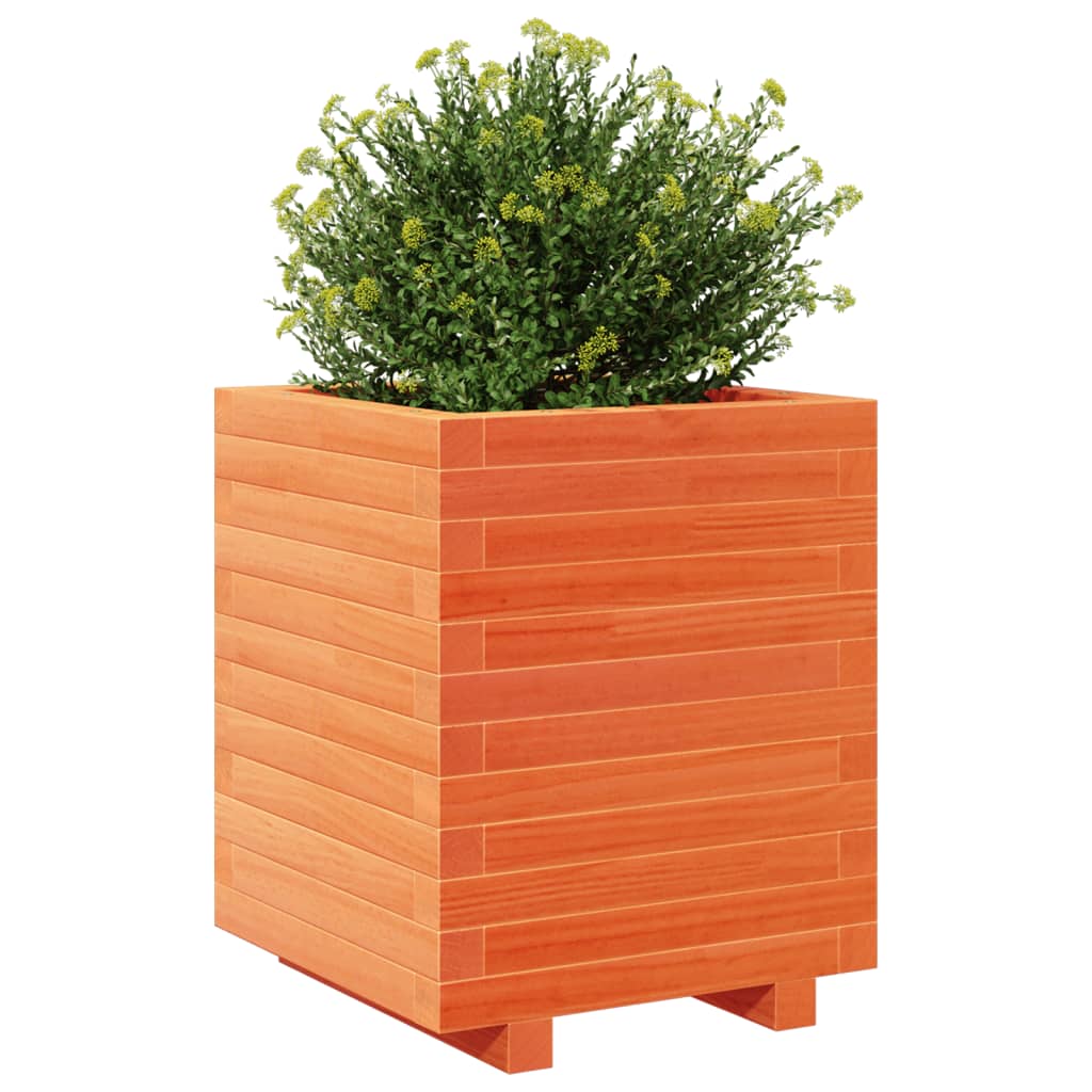 vidaXL Jardinera madera maciza de pino marrón cera 40x40x49,5 cm