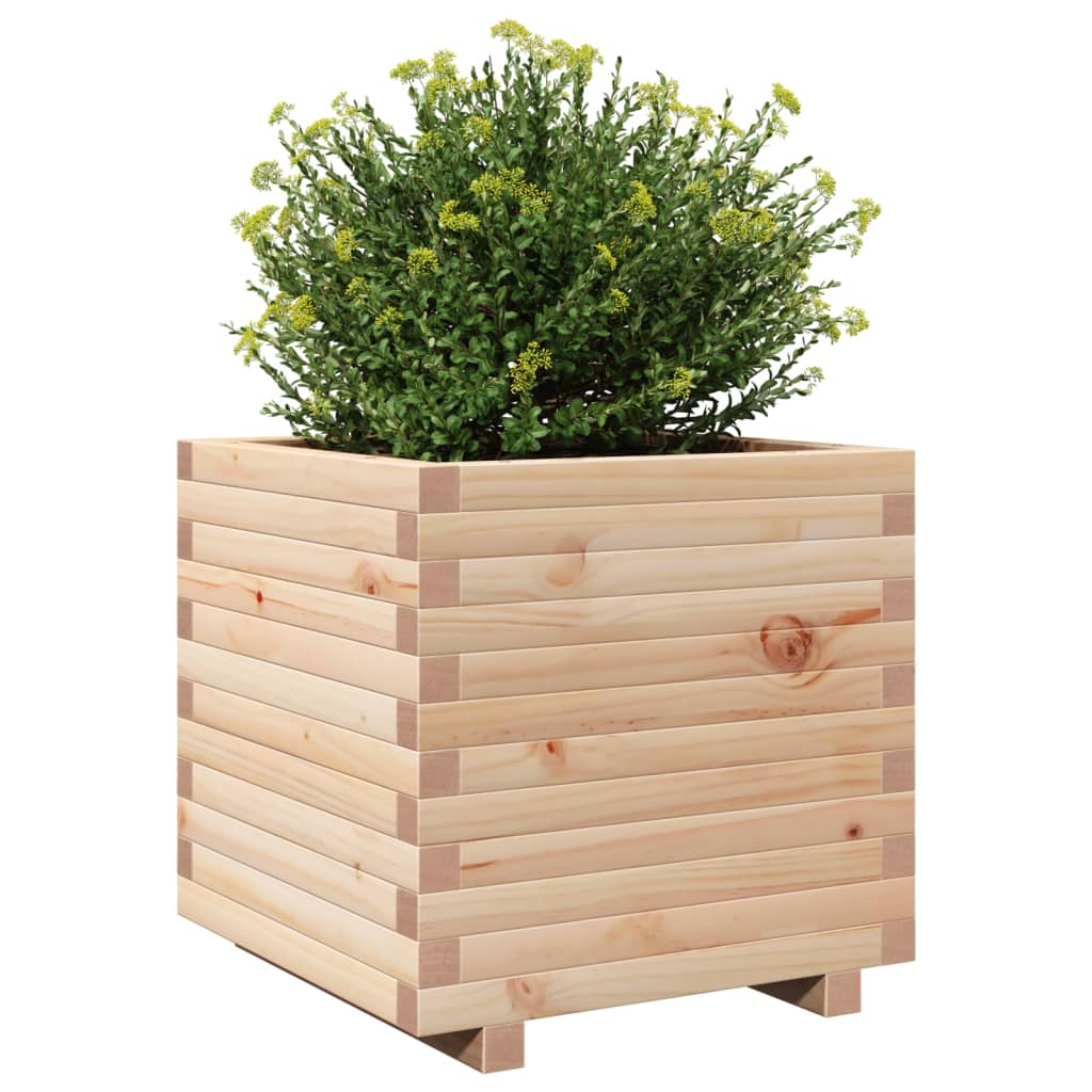 vidaXL Jardinera madera maciza de pino 50x50x49,5 cm