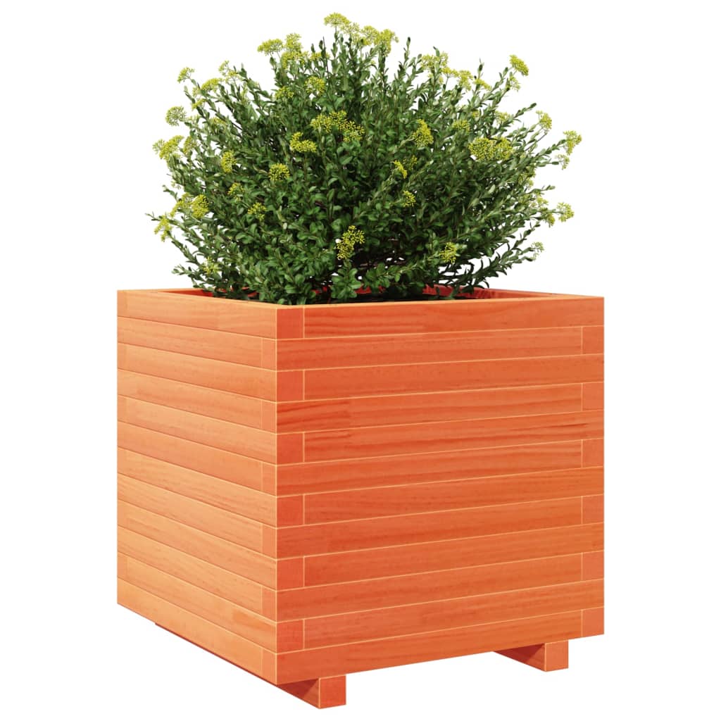 vidaXL Jardinera madera maciza de pino marrón cera 50x50x49,5 cm