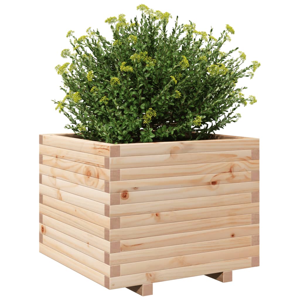 vidaXL Jardinera madera maciza de pino 60x60x49,5 cm