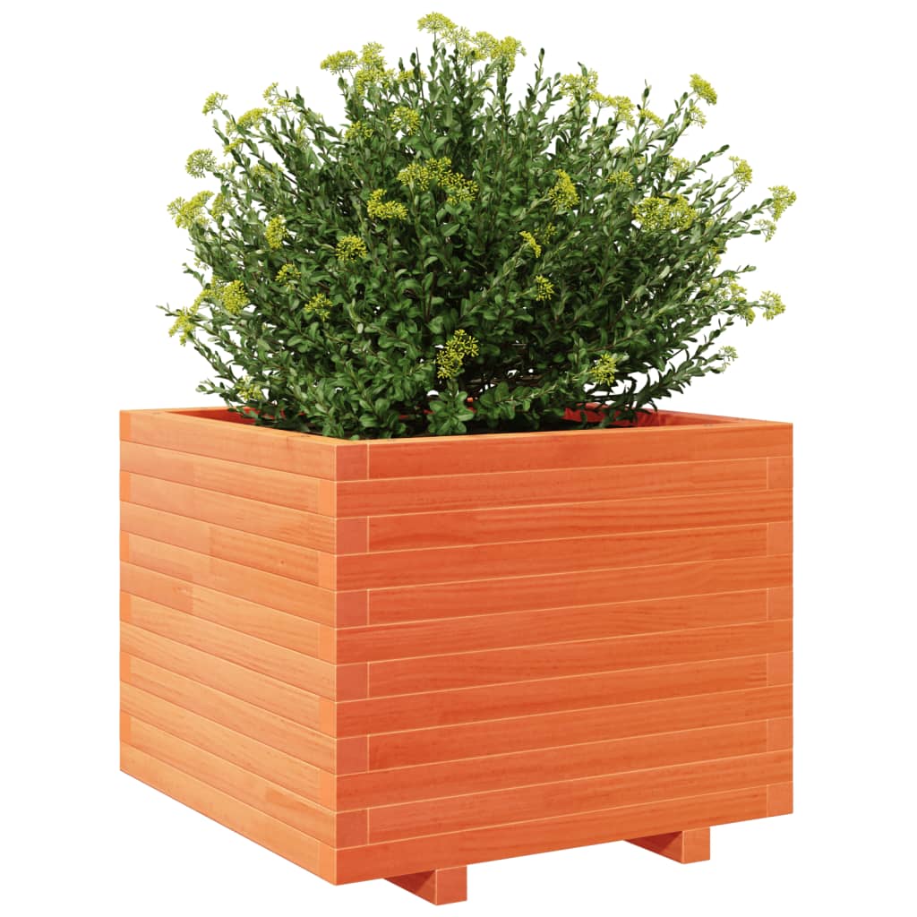 vidaXL Jardinera madera maciza de pino marrón cera 60x60x49,5 cm