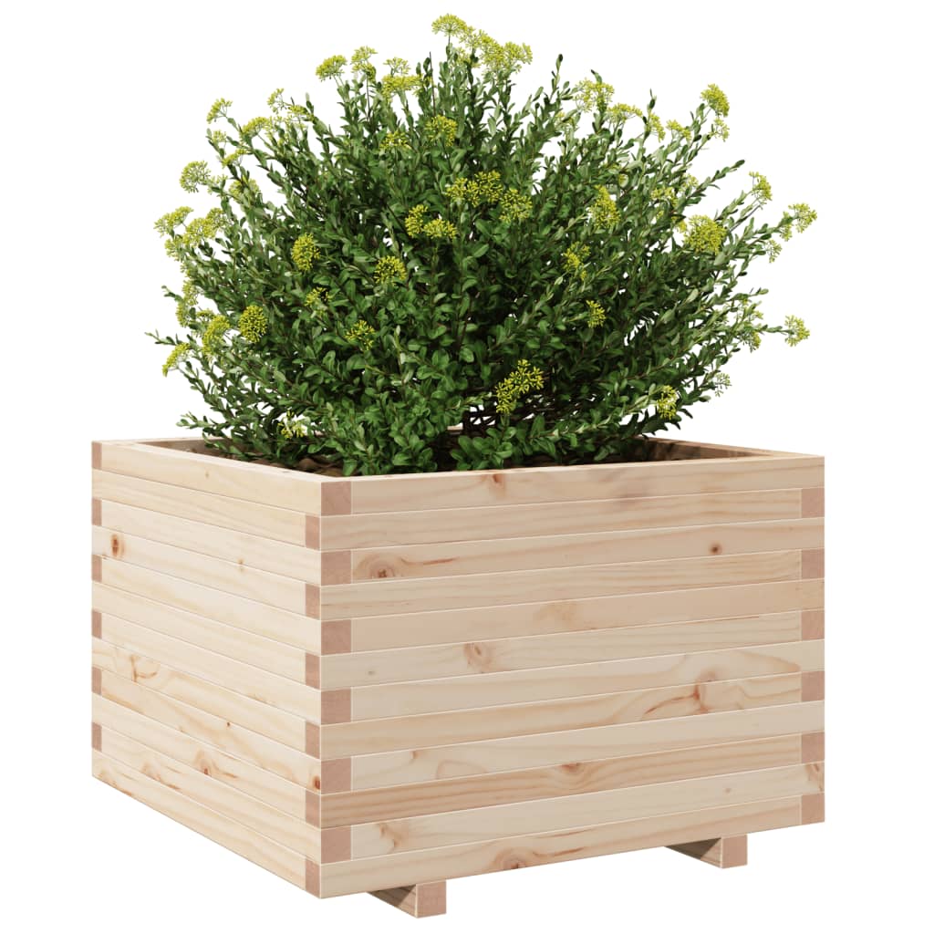 vidaXL Jardinera de madera maciza de pino 70x70x49,5 cm