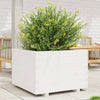 vidaXL Jardinera madera maciza de pino blanco 70x70x49,5 cm