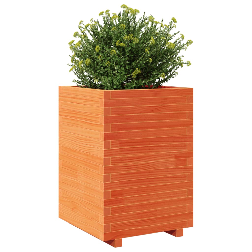 vidaXL Jardinera madera maciza de pino marrón cera 50x50x72,5 cm