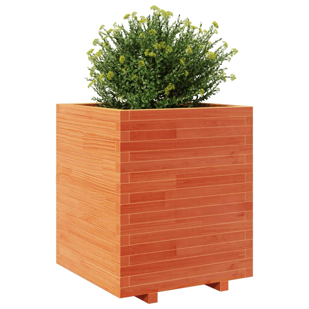 vidaXL Jardinera madera maciza de pino marrón cera 60x60x72,5 cm