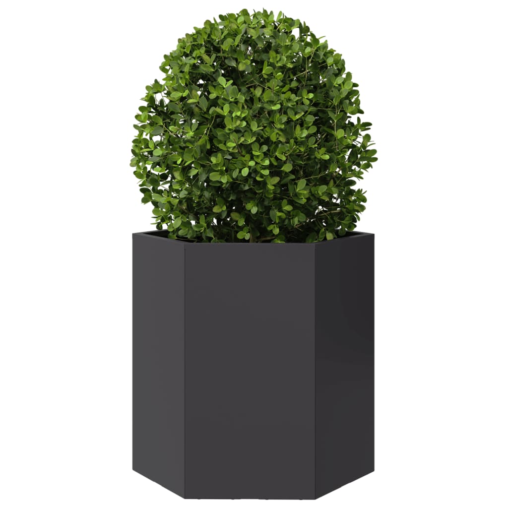 vidaXL Jardineras hexagonales 2 uds acero negra 46x40x45 cm