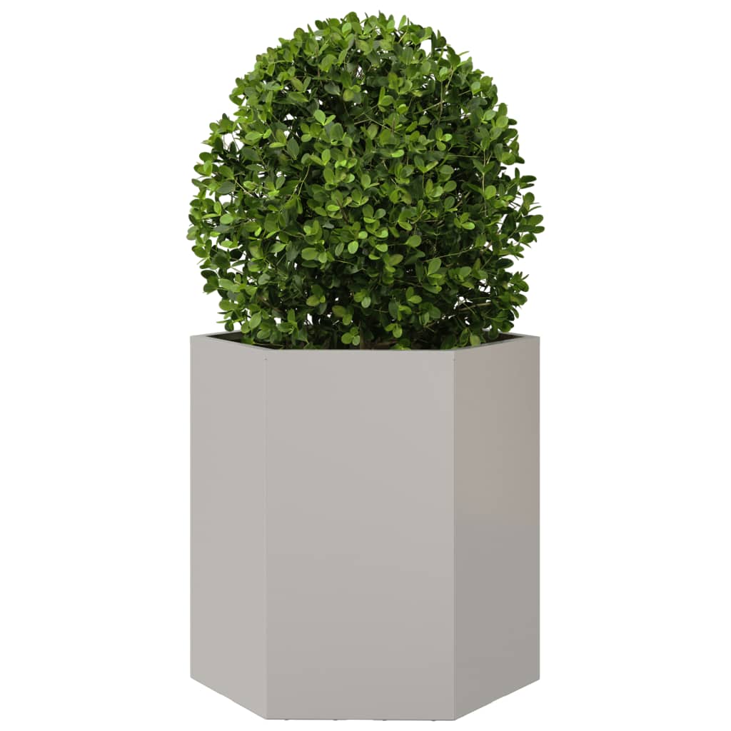 vidaXL Jardinera hexagonal 2 uds acero inoxidable 46x40x45 cm