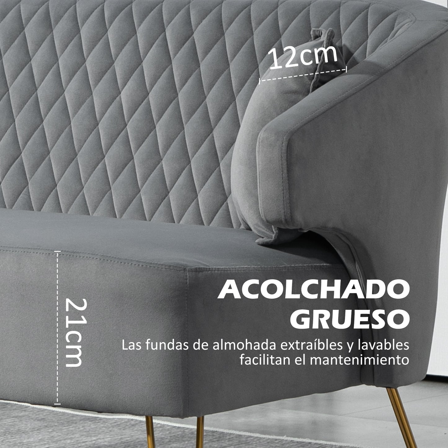 HOMCOM Sofá de 2 Plazas Tapizado en Terciopelo Sofá de Salón con 2 Almohadas Reposabrazos y Patas de Acero Doradas Sofá Pequeño Carga 240 kg para Dormitorio Oficina 124x69x76 cm Gris