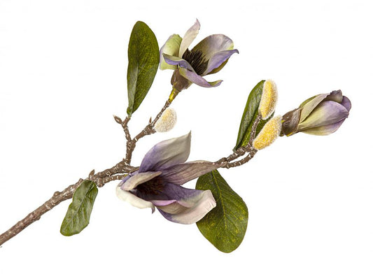 Flor Magnolia Blanca Pvc