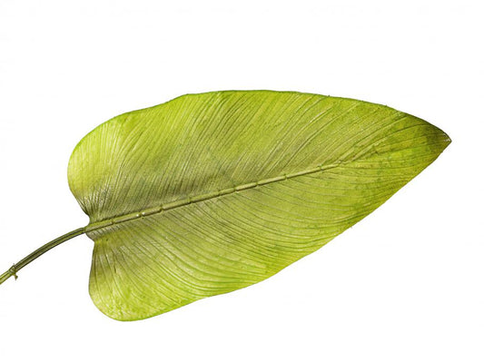 Rama De Palma Verde Pvc