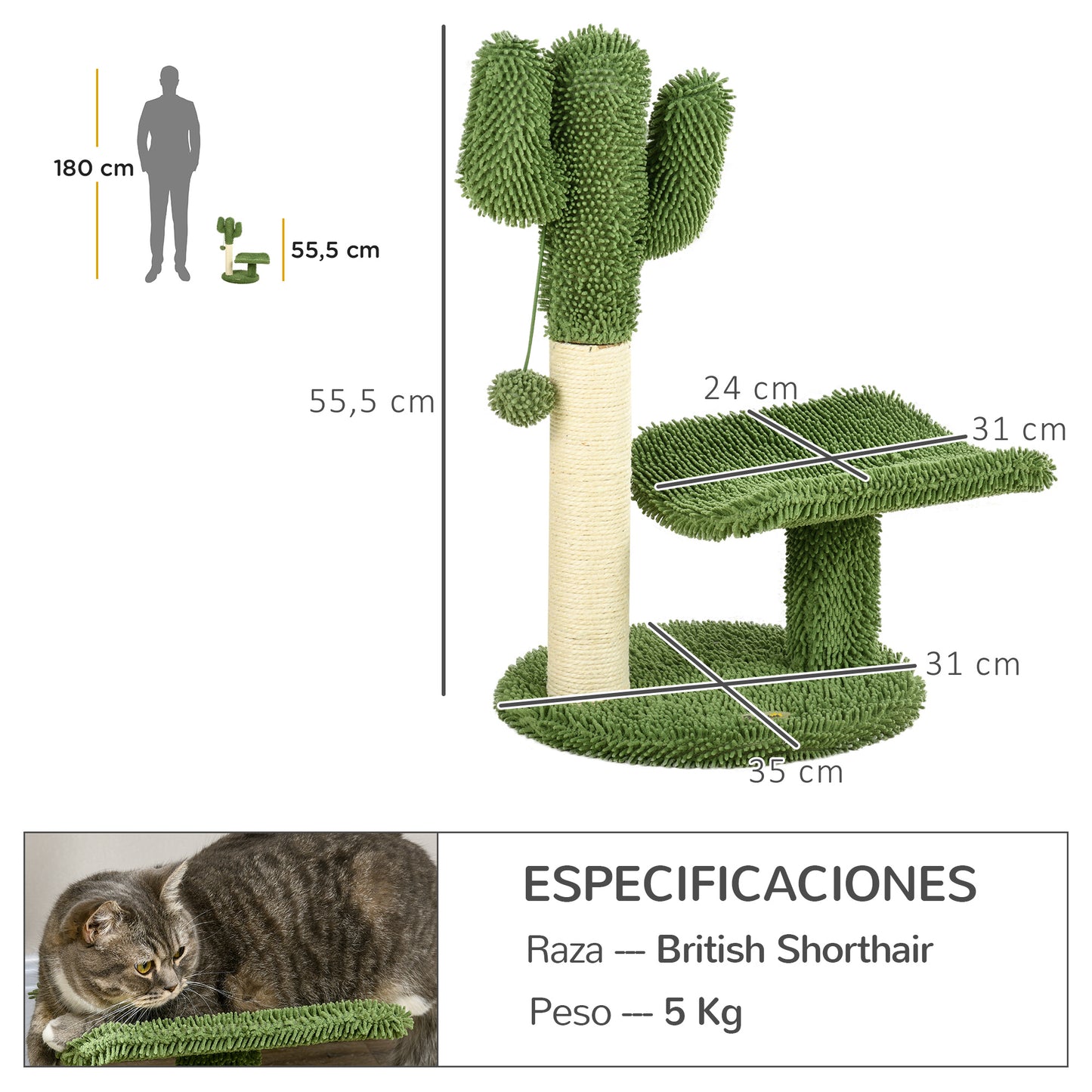 PawHut Árbol Rascador para Gatos de Cactus de 55,5 cm Torre para Gatos de Interior con Postes de Sisal Cama y Bola de Juguete 35x31x55,5 cm Verde