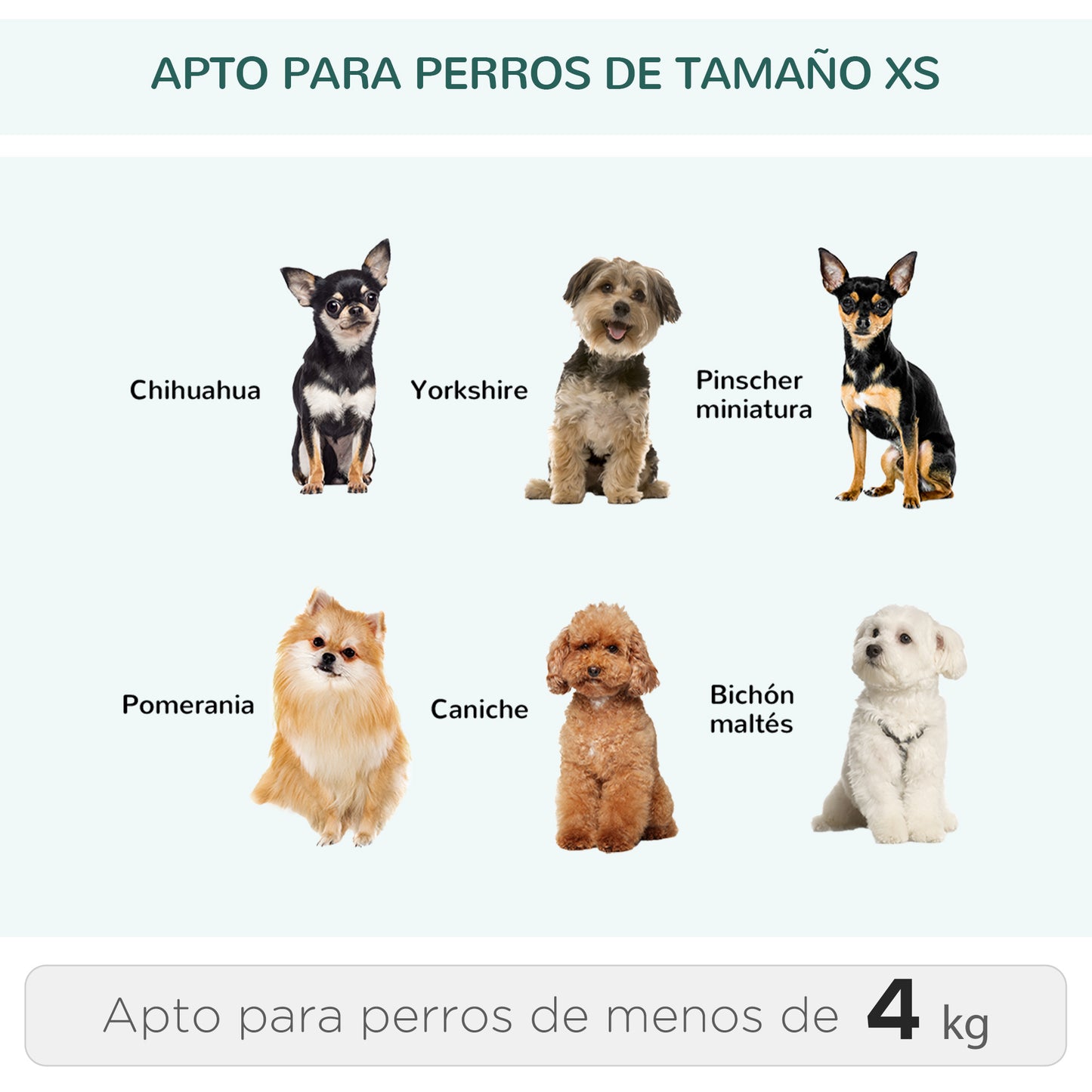 PawHut Transportín 2 en 1 para Mascotas Mochila o Carrito de Viaje para Perro y Gato con 2 Ruedas con Asa retráctil de Aluminio y Bolsillos 42x25x55 cm Verde