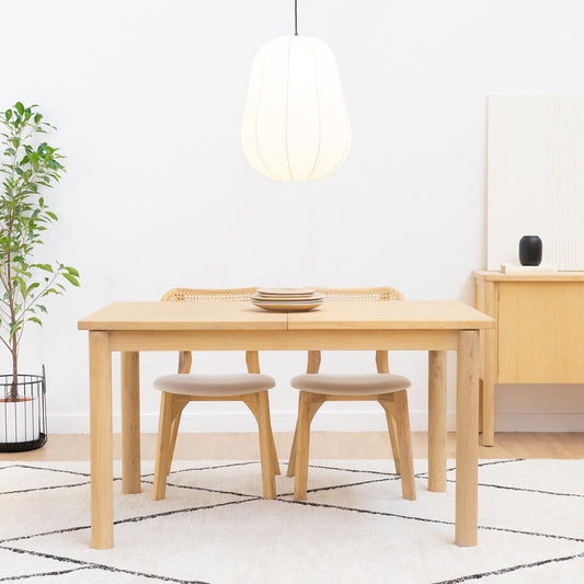 Dane Mesa Extensible - WABI HOME