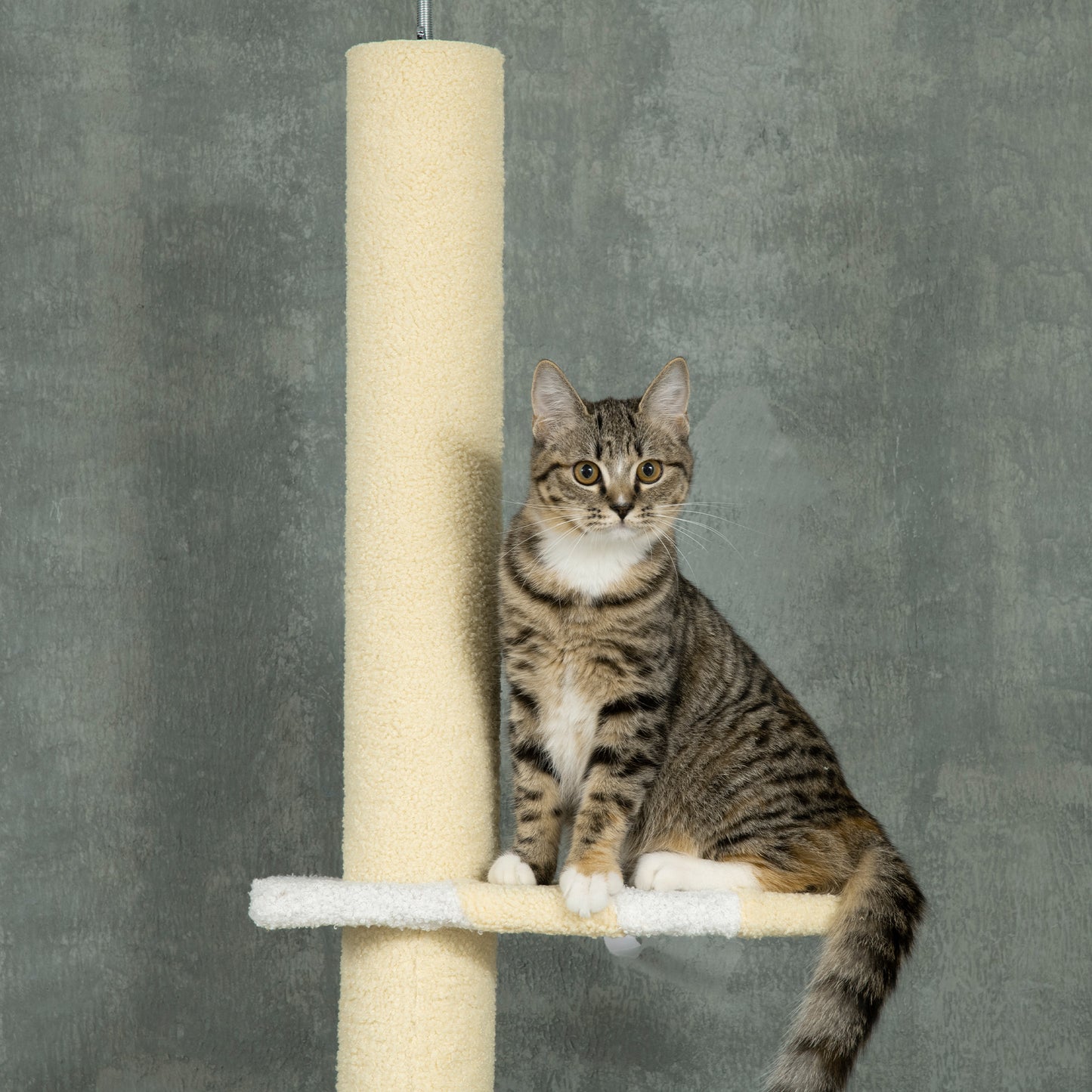 PawHut Árbol para Gatos del Suelo al Techo 220-260 cm Altura Ajustable Torre para Gatos con 3 Plataformas Poste Escalador de Sisal y Bola para Jugar 47x34x220-260 cm Amarillo