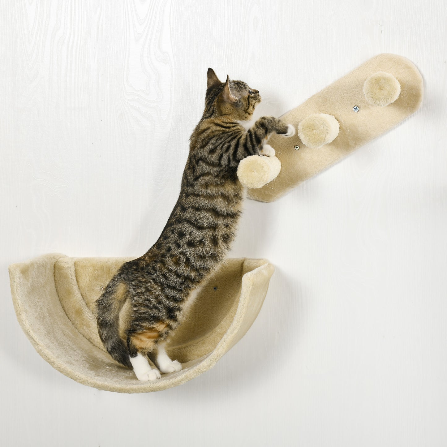 PawHut Estante de Escalada para Gatos de Pared Juego de Estantes para Gatos 4 Piezas con Hamaca Nido Rascador Plataformas para Saltar y Poste de Sisal Beige