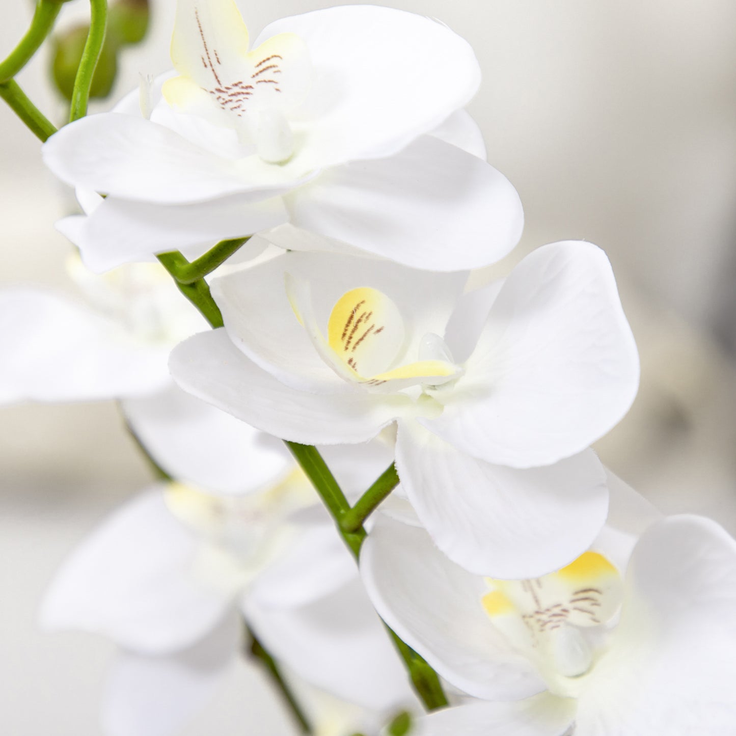 HOMCOM Juego de 2 Plantas Artificiales de Orquídeas Phalaenopsis Artificiales con Maceta Plantas Sintéticas para Decoración Hogar Salón Oficina Blanco