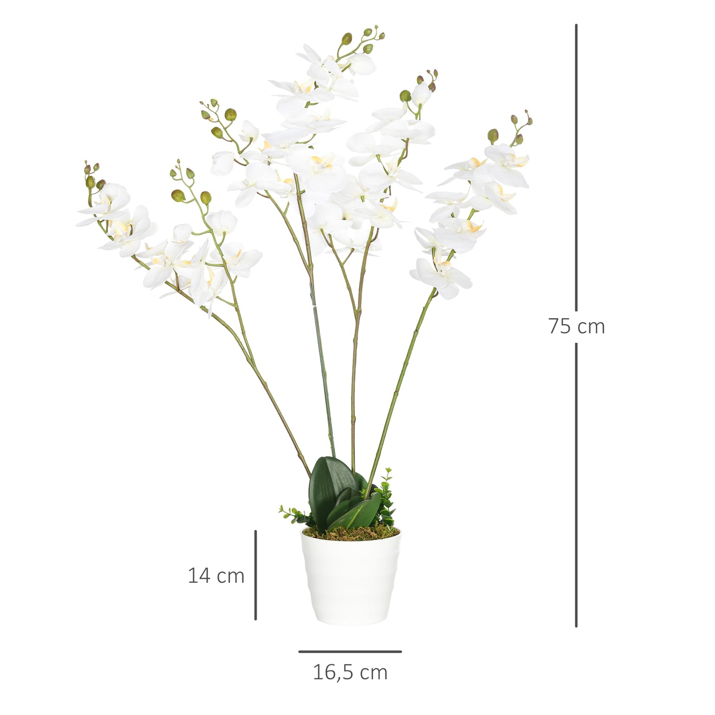 HOMCOM Juego de 2 Plantas Artificiales de Orquídeas Phalaenopsis Artificiales con Maceta Plantas Sintéticas para Decoración Hogar Salón Oficina Blanco