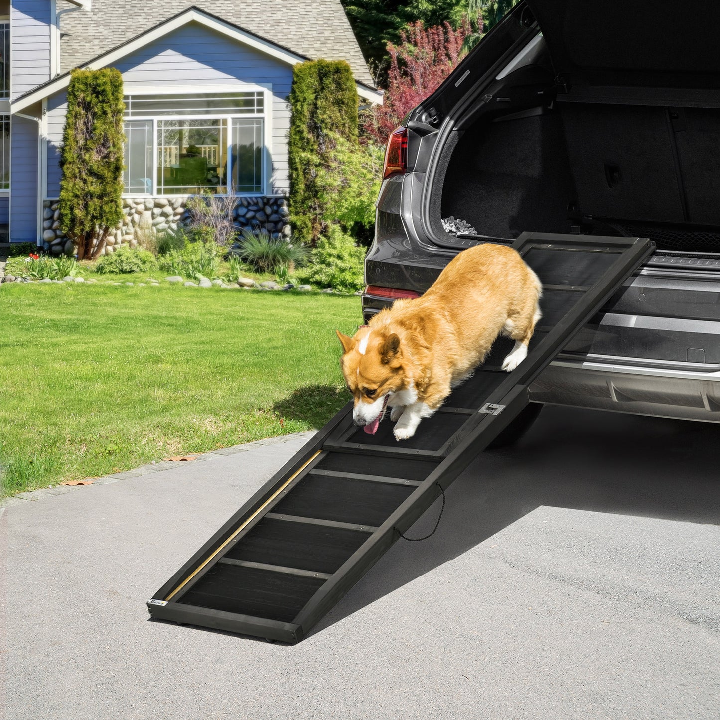 PawHut Rampa para Perros de Madera 165x43x6,5 cm Rampa Plegable para Mascotas con Alfombra Antideslizante Escalera Portátil para Coche Carga 40 kg Negro