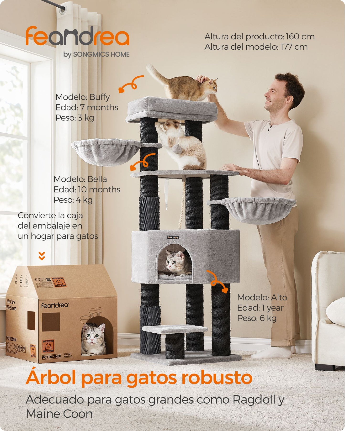 Árbol para Gatos 50 x 50 x 160 cm Gris Paloma y Negro-Feandrea