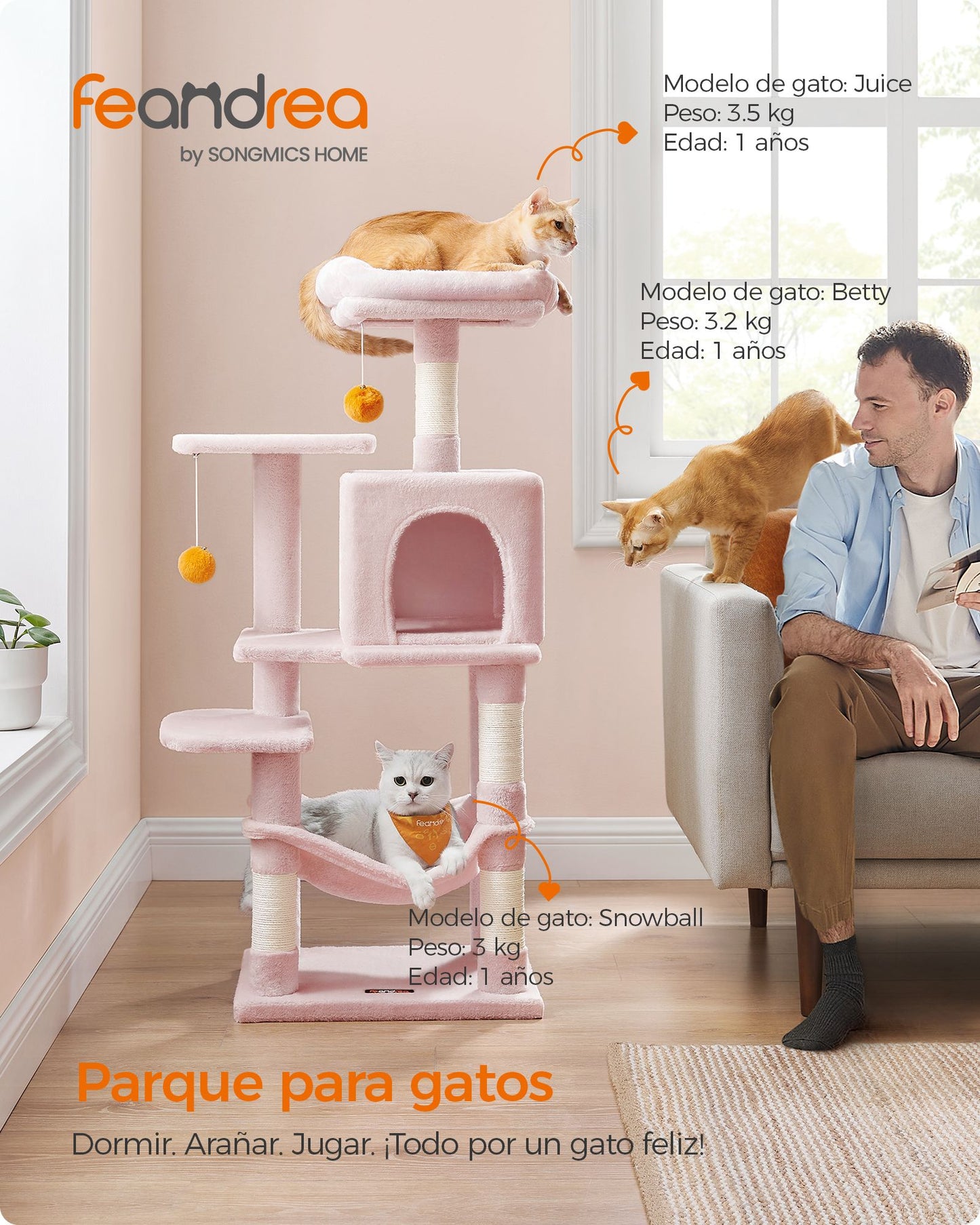 Árbol para Gatos-Feandrea