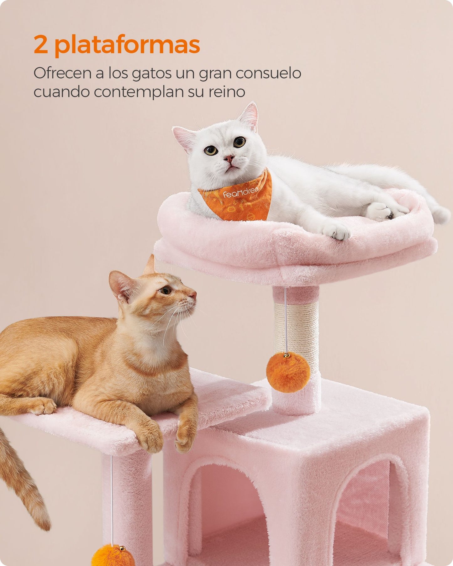 Árbol para Gatos-Feandrea