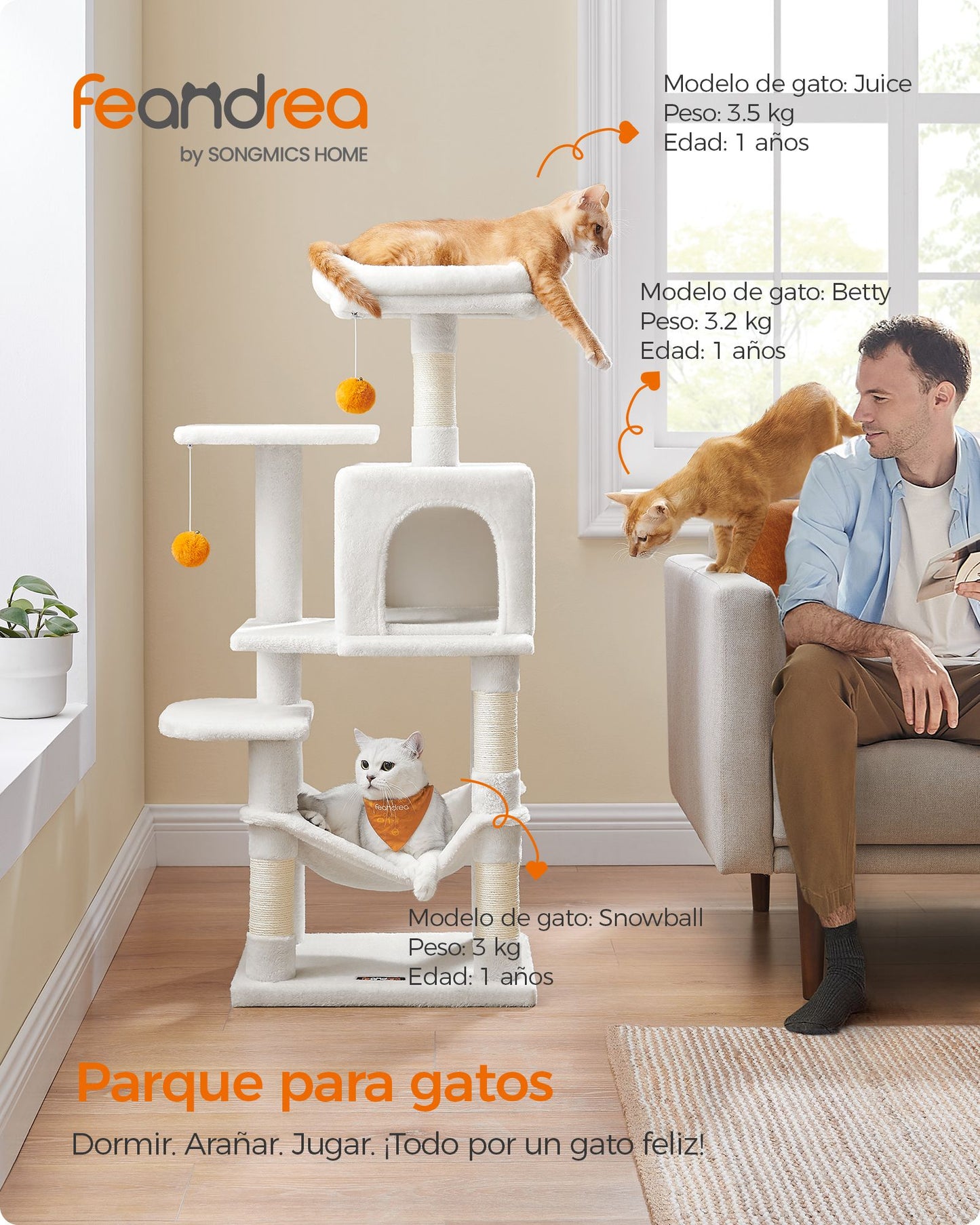 Árbol para Gatos-Feandrea