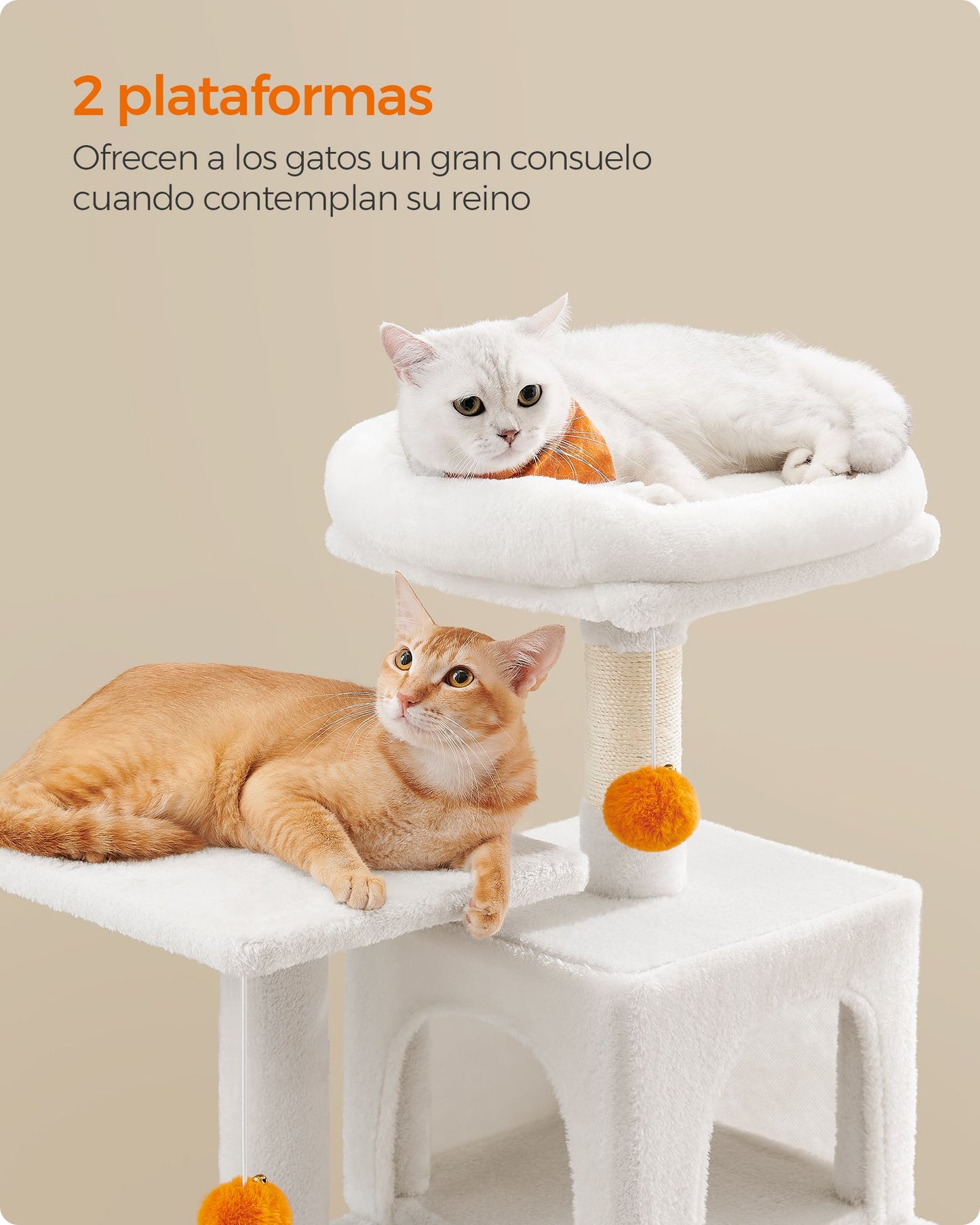 Árbol para Gatos-Feandrea