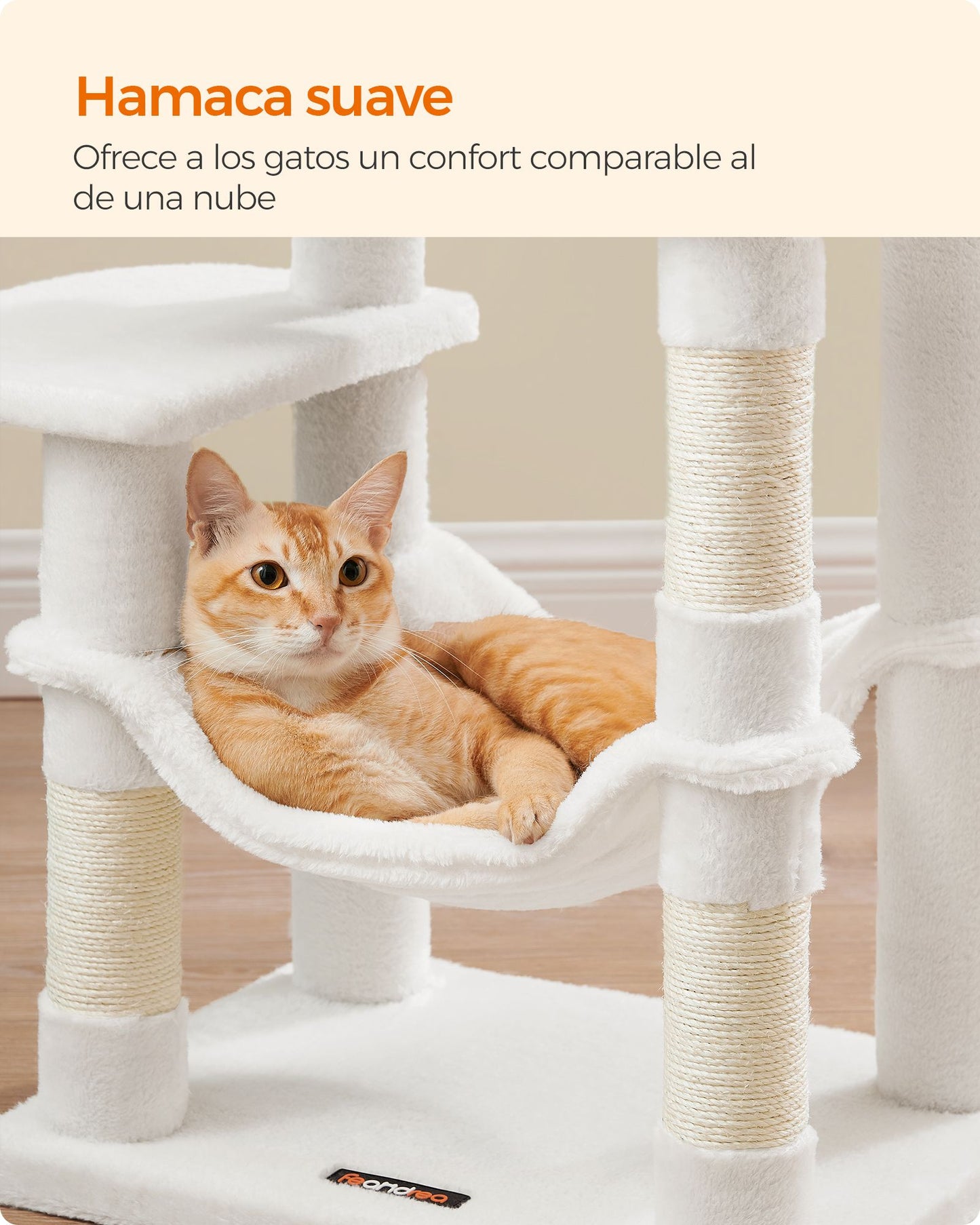 Árbol para Gatos-Feandrea