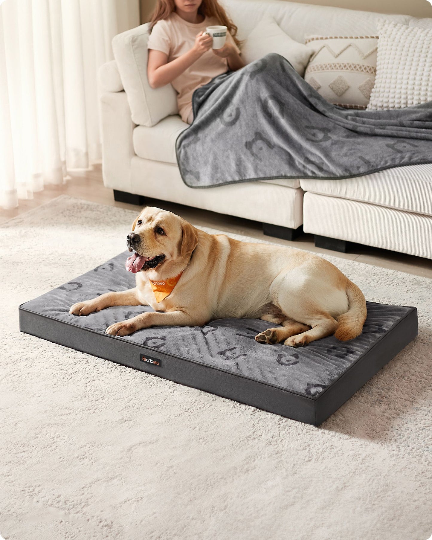 Cama para Perros 120 x 74 x 10 cm Gris Paloma-Feandrea