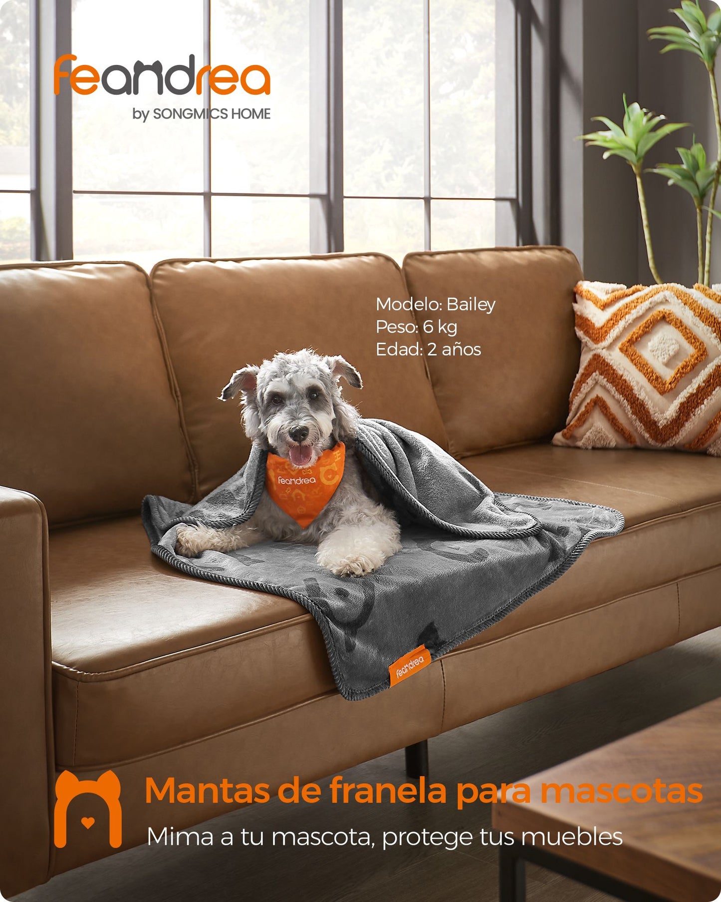 Juego de 3 Mantas para Mascotas 102 x 73 cm Gris Pizarra-Feandrea