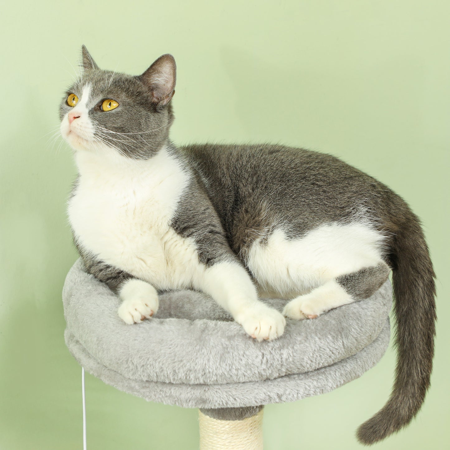 PawHut Árbol Rascador para Gatos 110 cm Árbol para Gatos Torre para Gatos con Nidos Cueva Plataforma Almohadilla de Rascado Bola Colgante Gris Claro