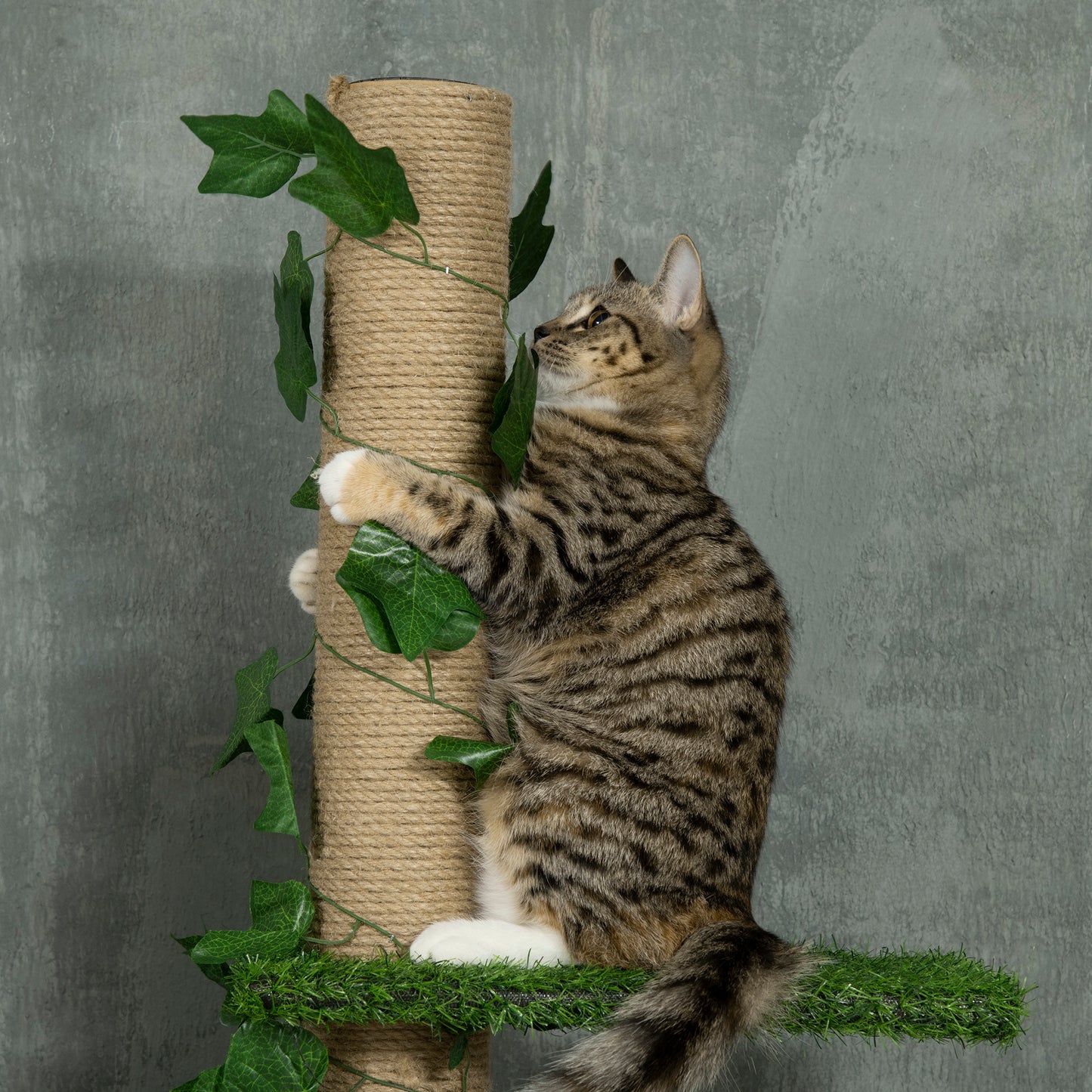 Pawhut Árbol para Gatos de Suelo a Techo de 202-242 cm Torre para Gatos con 3 Plataformas Postes Rascadores Altura Ajustable y Decoración de Hoja de Arce Verde