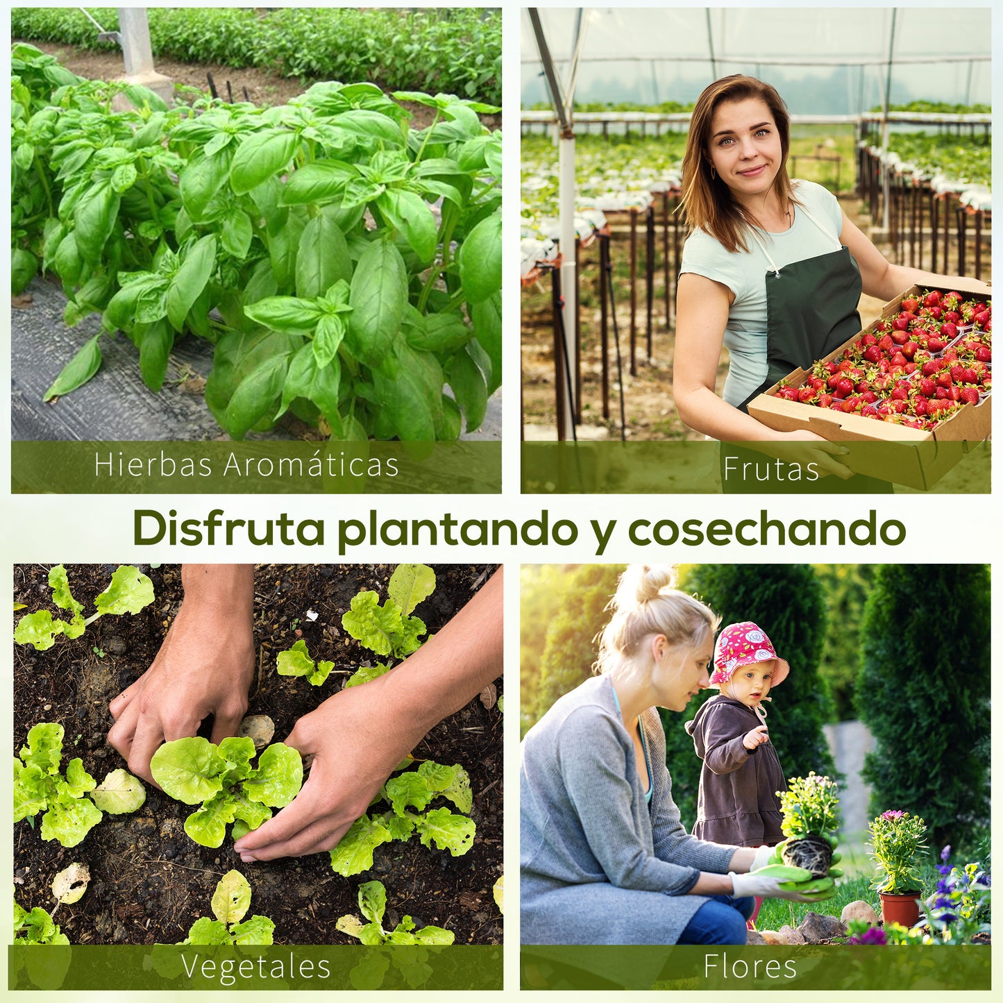 Outsunny Invernadero de Exterior Invernadero de Túnel 8x3x2 m Invernadero de Jardín con 12 Ventanas y Puerta Enrollable para Cultivo Plantas Tomates Verduras Acero y PE 140 g/m² Verde