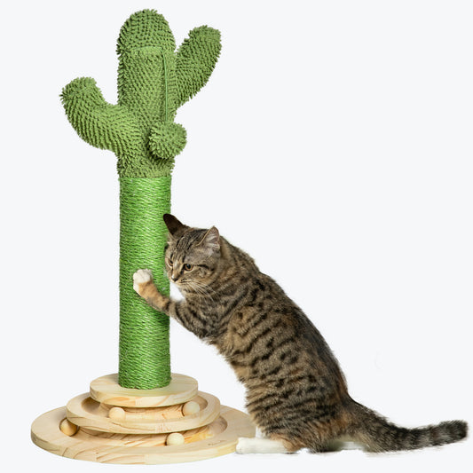 PawHut Poste Rascador para Gatos en Forma de Cactus Pequeño Árbol Rascador para Gatos con Poste de Sisal y Felpa Pelota Colgante y Base con Juego de Madera 32x32x60 cm Verde