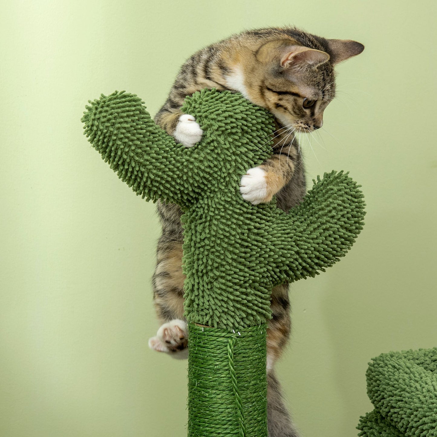 PawHut Árbol Rascador para Gatos Diseño de Cactus Altura 67 cm Torre para Gatos con Cama Caseta de Felpa Poste de Sisal y Bola Colgante 68x30x67 cm Verde