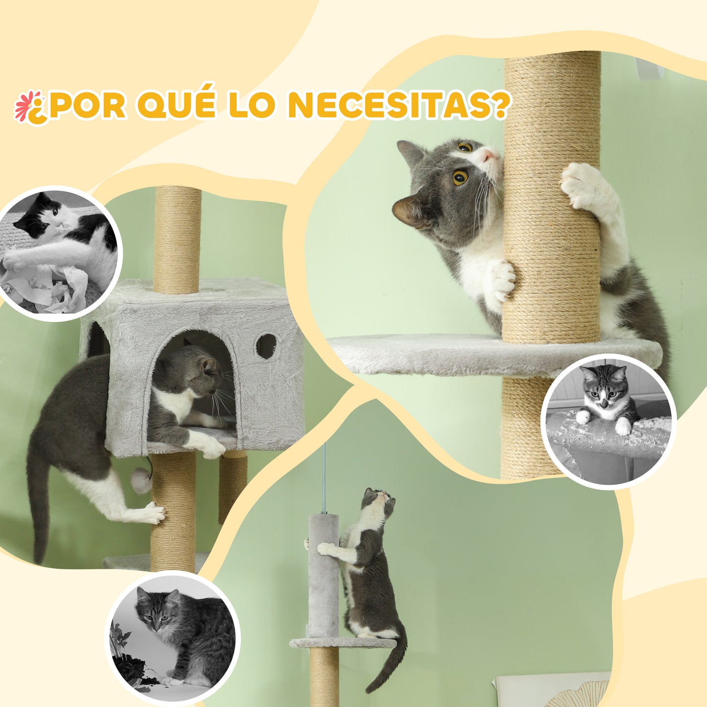 PawHut Árbol para Gatos de Suelo a Techo de 225-265 cm Árbol Rascador para Gatos con Altura Ajustable Múltiples Plataformas Escalera Bola Colgante Gris Claro