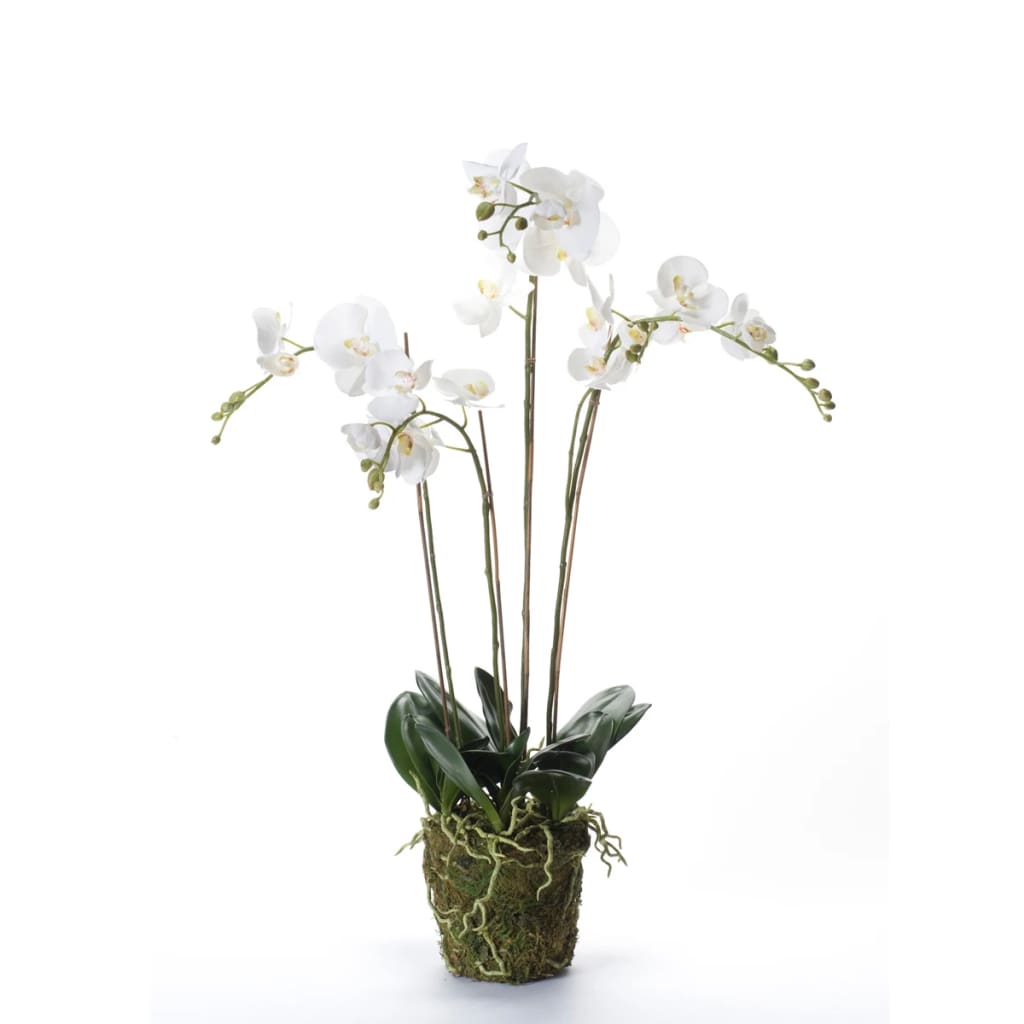 Emerald Orquídea artificial con musgo blanca 90 cm 20.355